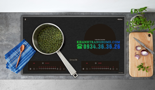 BẾP TỪ DMESTIK ML255 DKI