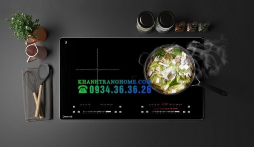 BẾP TỪ ĐÔI DMESTIK AM D216