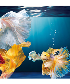 Android Tivi 4K TCL 50 Inch 50P615 - 19