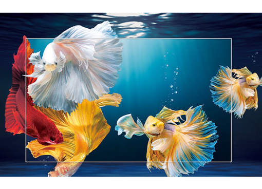 Android Tivi 4K TCL 50 Inch 50P615 - 7