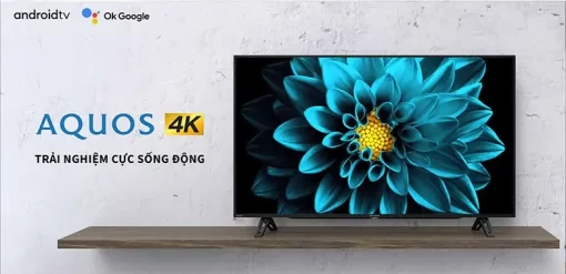Android Tivi Sharp 4K 50 inch 4T-C50DK1X - 1