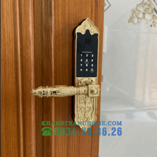 Khóa Vân Tay Cửa Gỗ Kassler KL-919 APP