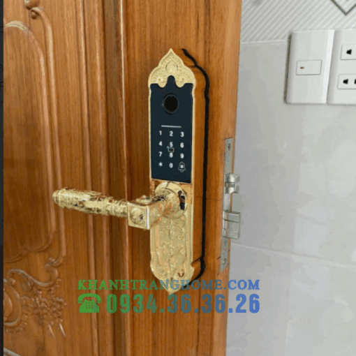 Khóa Vân Tay Cửa Gỗ Kassler KL-919 APP