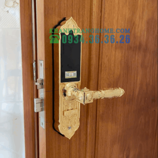 Khóa Vân Tay Cửa Gỗ Kassler KL-919 APP
