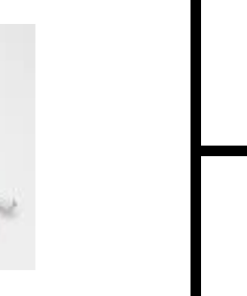 NẸP BO CÁNH GỖ 18MM GARIS GA7 - 7