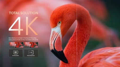 Google Tivi Hisense 4K 43 inch 43A6500H - 5