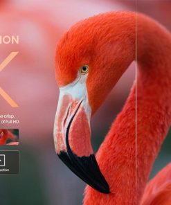 Google Tivi Hisense 4K 50 Inch 50A6500H - 28 Google Tivi Hisense 4K 50 Inch 50A6500H - 27