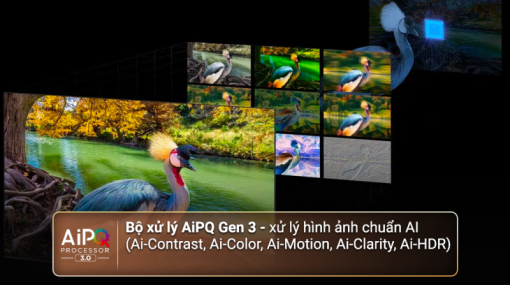 Google Tivi QLED TCL 4K 43 inch 43Q646 - 17