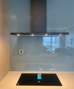 BẾP ĐIỆN TỪ LATINO LT - S886G - 45