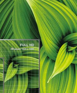 Android Tivi TCL 43 inch 43P725 - 17