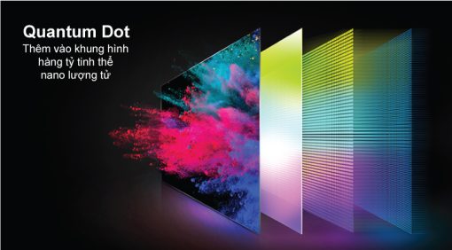 Google Tivi QLED TCL 4K 65 inch 65Q646 - 5