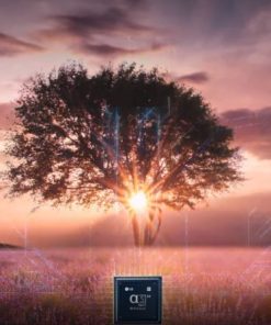 Smart Tivi LG 4K 55 inch 55UQ7550PSF - 19