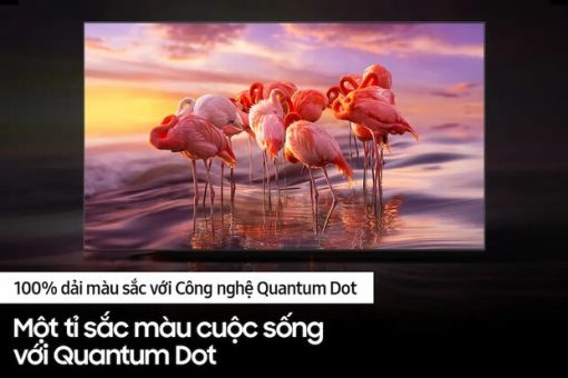 Smart Tivi QLED Samsung 4K 55 inch QA55Q60BAKXXV - 9