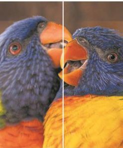 Smart Tivi Sharp 42 inch 2T-C42BG1X - 21