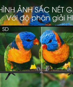 Smart Tivi TCL LED 32 INCH L32S6300 - 21