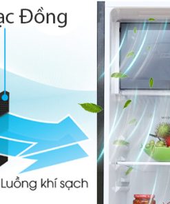 Tủ lạnh Sharp Inverter 271 lít SJ-X281E-DS - 16 Tủ lạnh Sharp Inverter 271 lít SJ-X281E-DS - 15