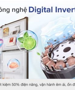 Tủ lạnh Samsung Inverter 236 lít RT22M4032BY/SV - 32 Tủ lạnh Samsung Inverter 236 lít RT22M4032BY/SV - 31