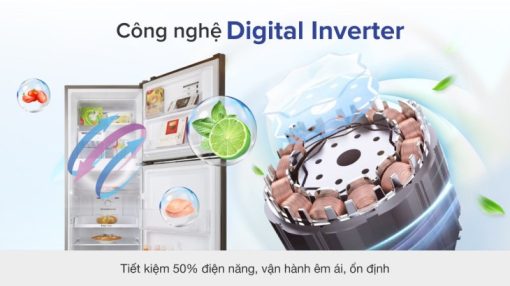 Tủ lạnh Samsung Inverter 236 lít RT22M4032BY/SV - 11