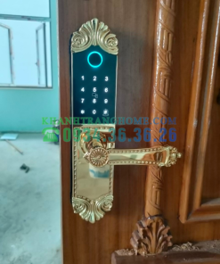 Khóa cửa vân tay DEMAX SL280 BRASS 24K tiêu chuẩn Đức - 126 Khóa cửa vân tay DEMAX SL280 BRASS 24K tiêu chuẩn Đức - 125