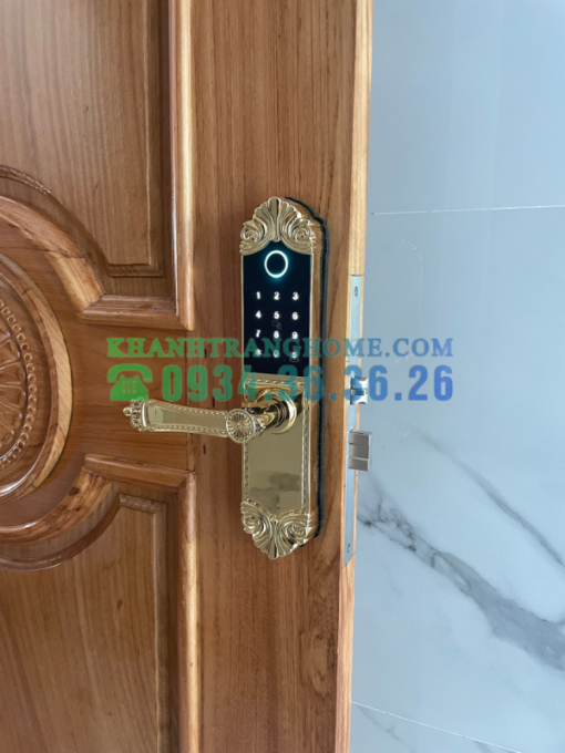 Khóa cửa vân tay DEMAX SL280 BRASS 24K tiêu chuẩn Đức - 51
