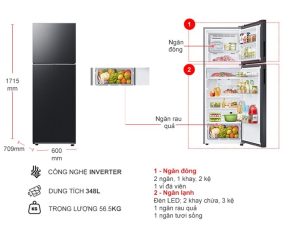 Tủ lạnh Samsung Inverter 348 lít RT35CG5424B1SV - 23