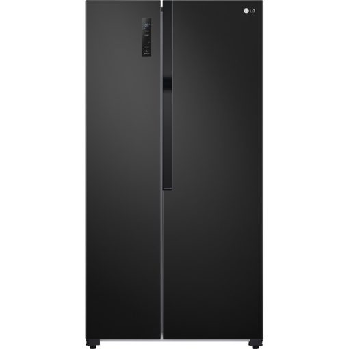Tủ lạnh LG Inverter 519 lít GR-B256BL - 1