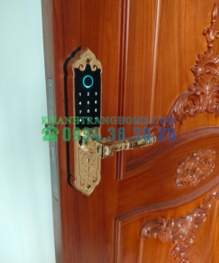 Khóa cửa vân tay DEMAX SL280 GOLD tiêu chuẩn Đức - 81