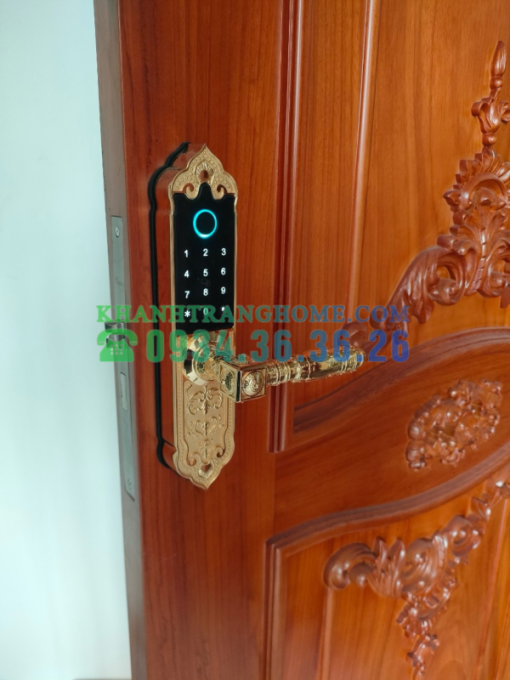 Khóa cửa vân tay DEMAX SL280 GOLD tiêu chuẩn Đức - 37