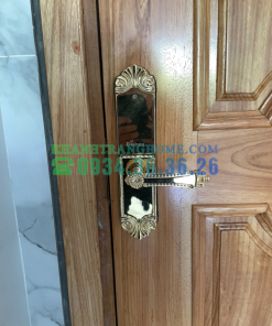 Khóa cửa vân tay DEMAX SL280 BRASS 24K tiêu chuẩn Đức - 122 Khóa cửa vân tay DEMAX SL280 BRASS 24K tiêu chuẩn Đức - 121