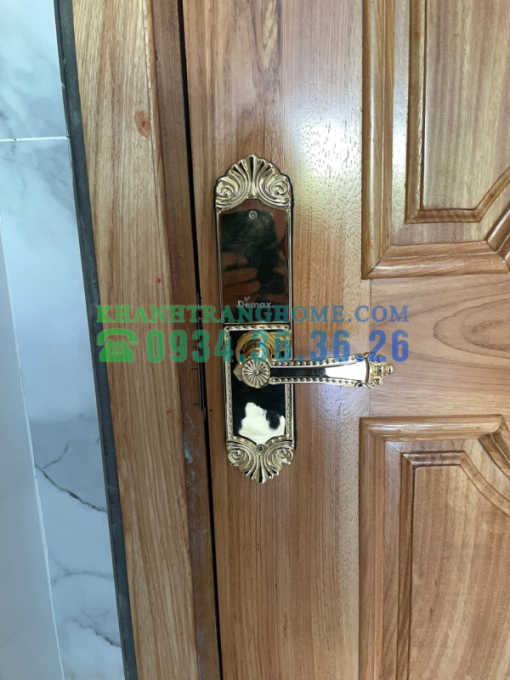 Khóa cửa vân tay DEMAX SL280 BRASS 24K tiêu chuẩn Đức - 55