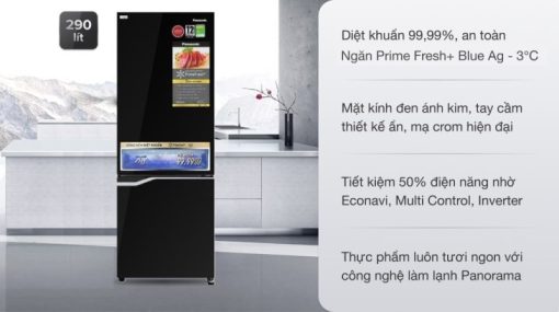 Tủ lạnh Panasonic Inverter 290 lít NR-BV320GKVN - 5