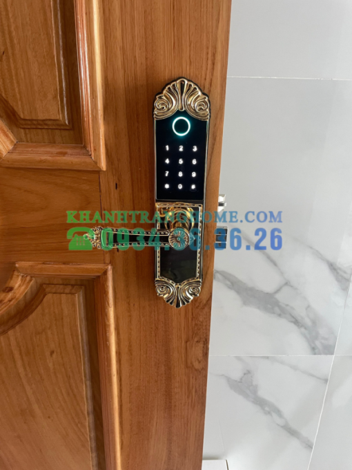 Khóa cửa vân tay DEMAX SL280 BRASS 24K tiêu chuẩn Đức - 57