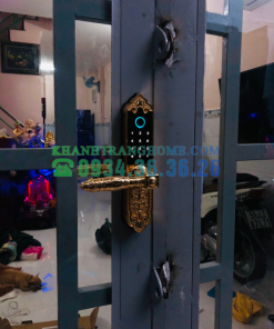 Khóa cửa vân tay DEMAX SL280 GOLD tiêu chuẩn Đức - 63