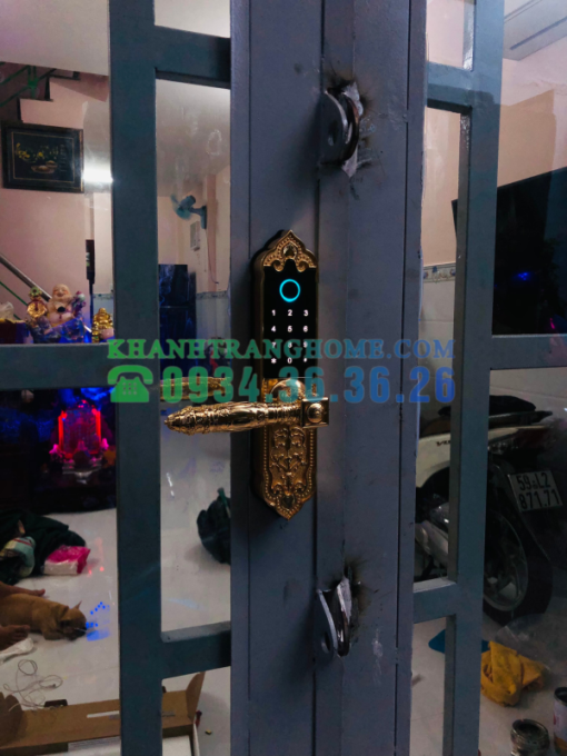 Khóa cửa vân tay DEMAX SL280 GOLD tiêu chuẩn Đức - 19