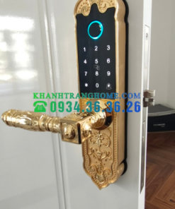 Khóa cửa vân tay DEMAX SL280 GOLD tiêu chuẩn Đức - 85