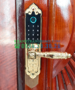 Khóa cửa vân tay DEMAX SL280 GOLD tiêu chuẩn Đức - 55