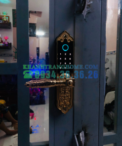 Khóa cửa vân tay DEMAX SL280 GOLD tiêu chuẩn Đức - 65