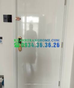 Khóa cửa vân tay DEMAX SL280 GOLD tiêu chuẩn Đức - 87