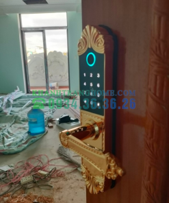 Khóa cửa vân tay DEMAX SL280 BRASS 24K tiêu chuẩn Đức - 132 Khóa cửa vân tay DEMAX SL280 BRASS 24K tiêu chuẩn Đức - 131