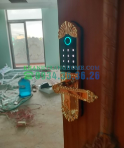 Khóa cửa vân tay DEMAX SL280 BRASS 24K tiêu chuẩn Đức - 134 Khóa cửa vân tay DEMAX SL280 BRASS 24K tiêu chuẩn Đức - 133