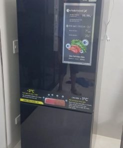 Tủ Lạnh Panasonic Inverter 380 Lít NR-BX421XGKV - 39