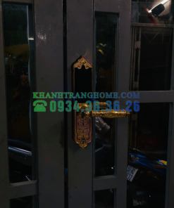 Khóa cửa vân tay DEMAX SL280 GOLD tiêu chuẩn Đức - 71