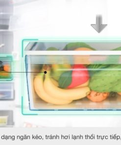 Tủ lạnh Panasonic Inverter 290 lít NR-BV320GKVN - 37