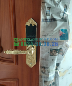 Khóa cửa vân tay DEMAX SL280 GOLD tiêu chuẩn Đức - 77