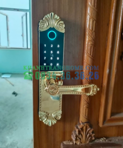 Khóa cửa vân tay DEMAX SL280 BRASS 24K tiêu chuẩn Đức - 116 Khóa cửa vân tay DEMAX SL280 BRASS 24K tiêu chuẩn Đức - 115