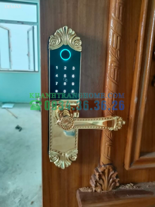 Khóa cửa vân tay DEMAX SL280 BRASS 24K tiêu chuẩn Đức - 49