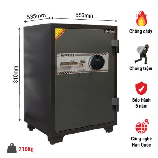 KÉT SẮT VÂN TÂY DONGSUNG DS 81VT - 3