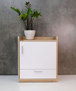 KÉT SẮT DONGSUNG DS6036 - 9