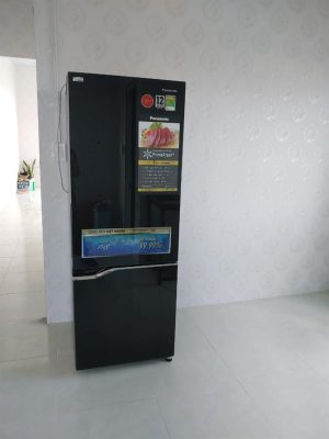 Tủ lạnh Panasonic Inverter 290 lít NR-BV320GKVN - 47