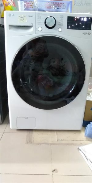 Máy giặt LG Inverter 15 kg F2515STGW - 41